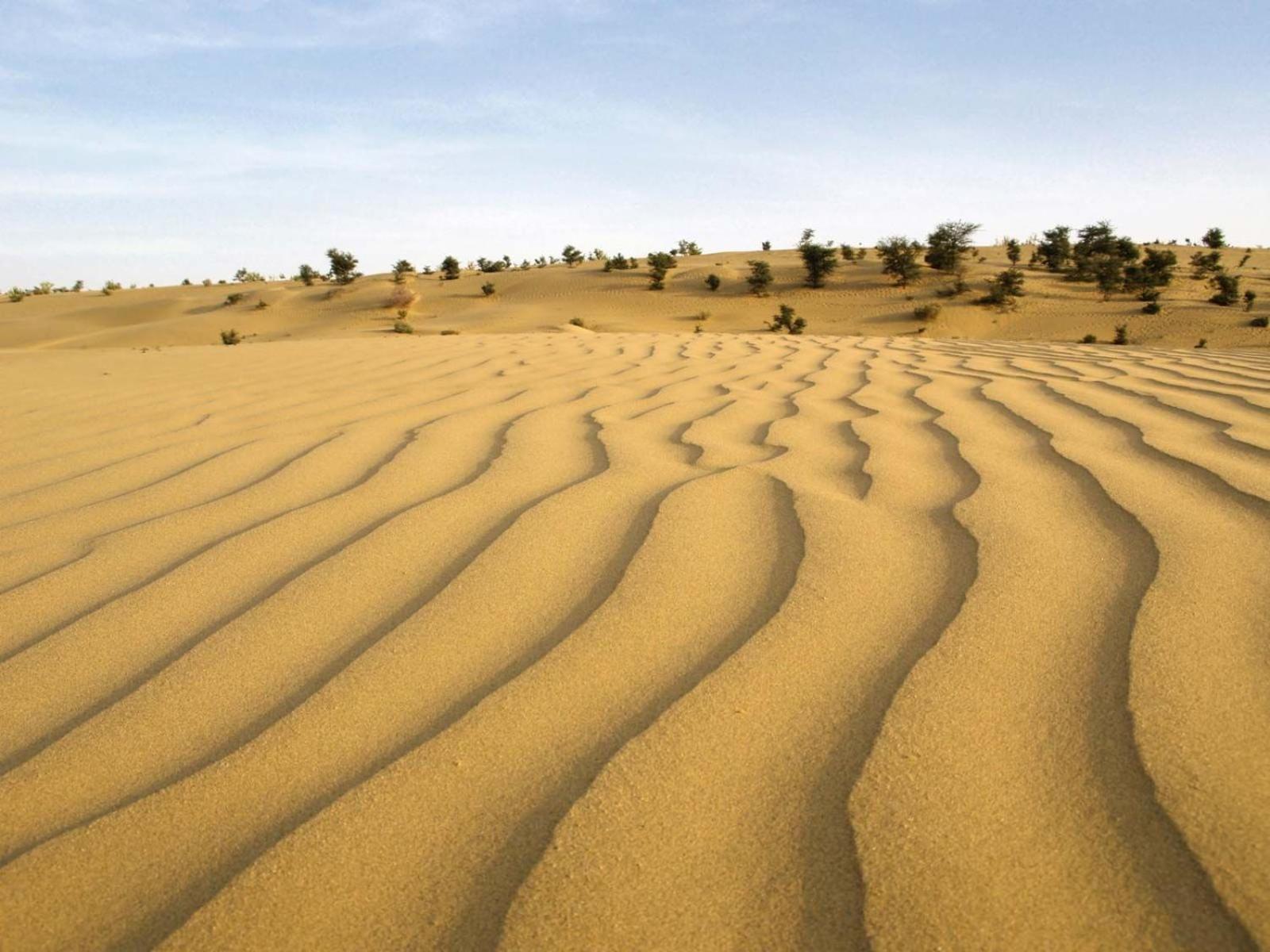 Sam Dunes Desert Luxury Camp & Resort Jaisalmer Ngoại thất bức ảnh